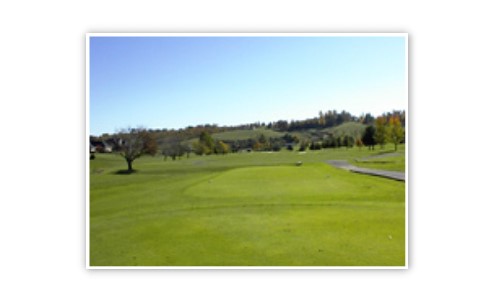 Tee Placement 1